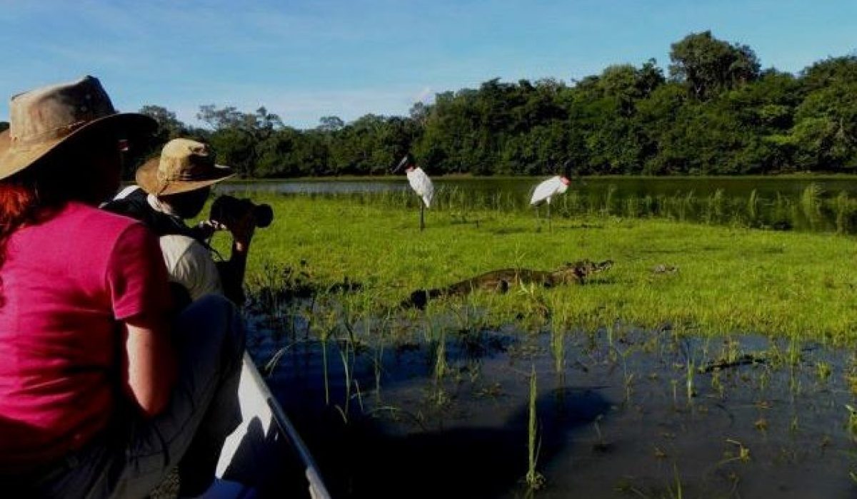 Pantanal-de-Corumba-Safari-fluvial_acervo-Assessoria-Prefeitura-de-Corumba-1-640x372-1-qph839cggtn6jk3jbi15zpz2gk37rwebitil4r8uhk